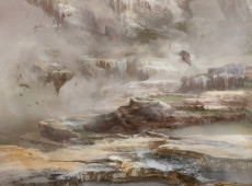 Fetid Heath